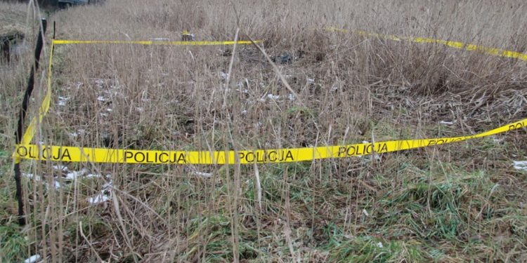 Zaginął 10 lat temu. Makabryczny finał poszukiwań