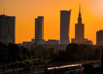 Ptasia grypa w Warszawie! Są potwierdzone przypadki