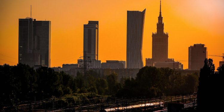 Ptasia grypa w Warszawie! Są potwierdzone przypadki