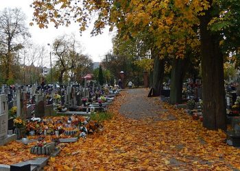 Pies zamieszkał na cmentarzu. „Tęskni za zmarłym panem, dlatego czuwa”