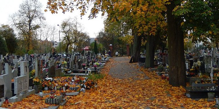 Pies zamieszkał na cmentarzu. „Tęskni za zmarłym panem, dlatego czuwa”