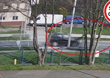 Potrącił pieszego na pasach. Wstrząsające nagranie [WIDEO]