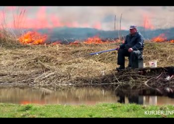 „Najspokojniejszy człowiek na świecie”. Nagranie hitem sieci [WIDEO]