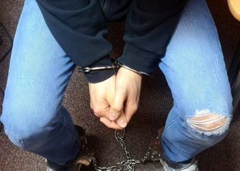 Policjanci Archiwum X wyjaśnili zbrodnię sprzed 10 lat! „Zabójstwo i znieważenie zwłok”