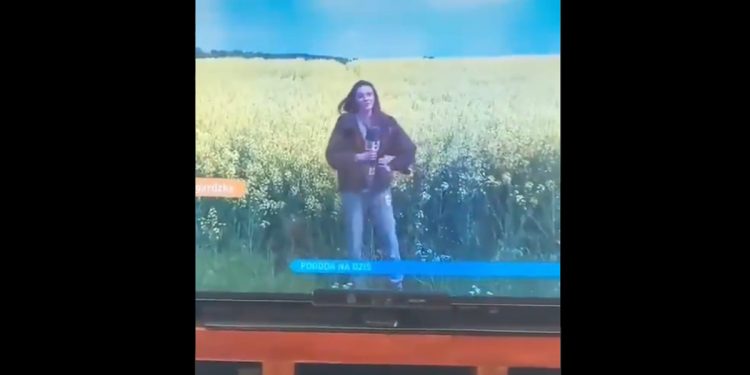 Dziennikarka TVN zaliczyła dużą wpadkę. Nagranie podbija sieć [WIDEO]