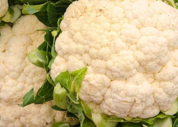 Narkotyki w kalafiorach. Nietypowe znalezisko w ciężarówce