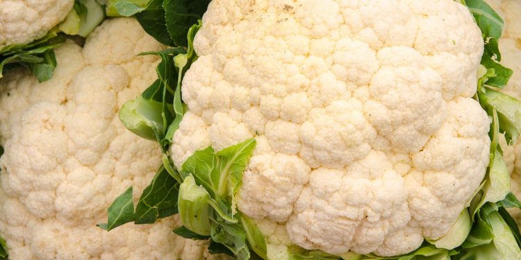 Narkotyki w kalafiorach. Nietypowe znalezisko w ciężarówce