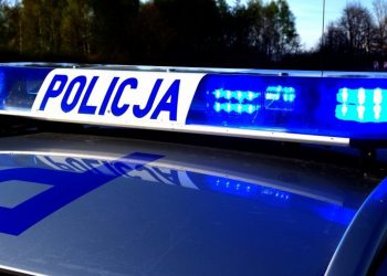 policja ogolne