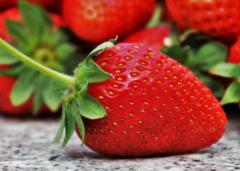 Nie wyrzuciła truskawek, więc… straciła pracę. „Takie procedury”