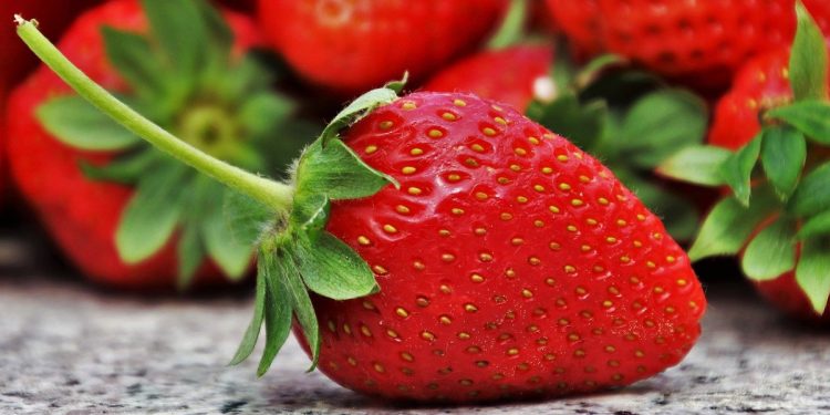 Nie wyrzuciła truskawek, więc… straciła pracę. „Takie procedury”