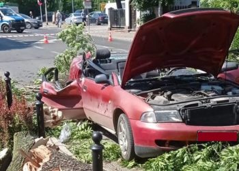 Drzewo przewróciło się na jadący samochód. Dramatyczne nagranie! [WIDEO]