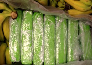 Kokaina w bananach. Towar trafił do sklepów spożywczych