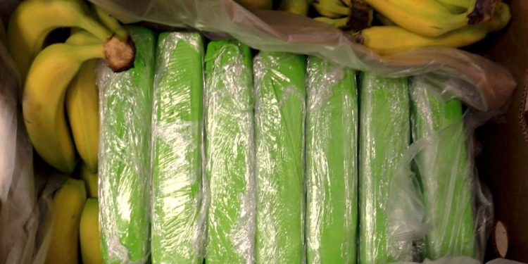 Kokaina w bananach. Towar trafił do sklepów spożywczych