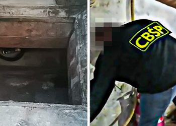 Laboratorium metamfetaminy ukryli pod… kojcem dla psów