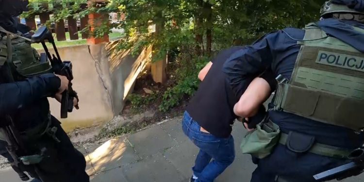 Próbował porwać 11-latkę! Zatrzymano podejrzanego