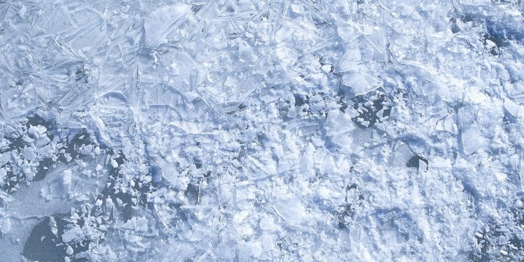 Zwierzę ożyło po zamrożeniu przez… 24 tys. lat! „Marzenie pisarzy sci-fi”