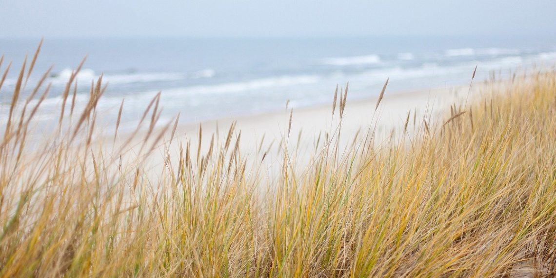 sinice morze bałtyckie