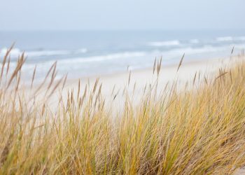 sinice morze bałtyckie