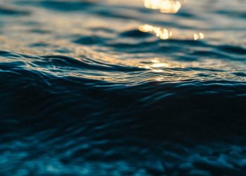 Tragiczny finał poszukiwań mężczyzny. Wyłowili zwłoki zaginionego