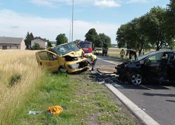 6-letnie dziecko nie żyje. Makabryczny wypadek koło Turku