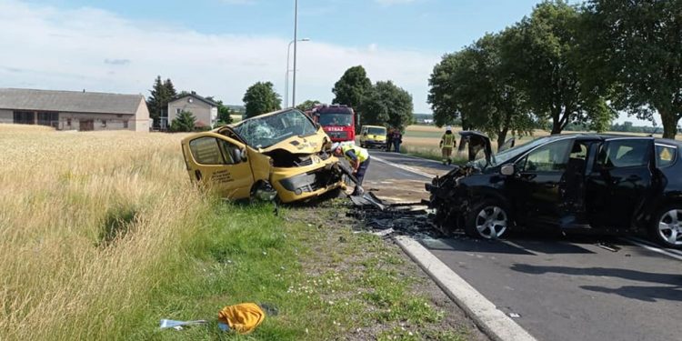 6-letnie dziecko nie żyje. Makabryczny wypadek koło Turku