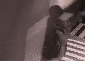 Atak na biuro PiS. Wszystko nagrał monitoring [WIDEO]