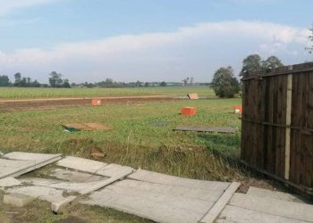 Trąba powietrzna uderzyła w schronisko dla psów! „Los wielu zwierząt jest nieznany” [FOTO]