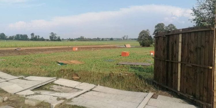 Trąba powietrzna uderzyła w schronisko dla psów! „Los wielu zwierząt jest nieznany” [FOTO]