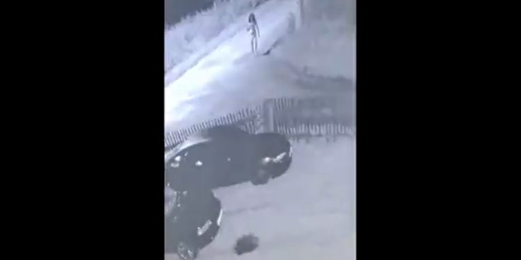 Ukradł samochód w nietypowym przebraniu. Nawet policjanci byli rozbawieni [WIDEO]