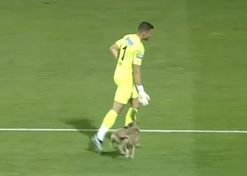 Na boisku pojawił się pies. Kamery uchwyciły reakcję polskiego bramkarza [WIDEO]