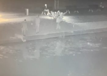 Kot wpadł do rzeki. Na nagraniu widać, co zrobili świadkowie [WIDEO]