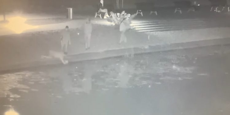 Kot wpadł do rzeki. Na nagraniu widać, co zrobili świadkowie [WIDEO]