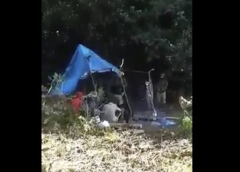 Białoruskie służby ładują migrantom telefony. Straż Graniczna pokazała nagranie [WIDEO]