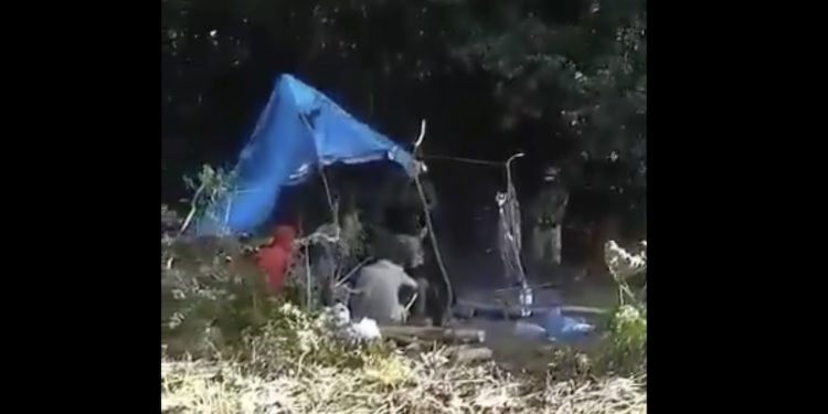 Białoruskie służby ładują migrantom telefony. Straż Graniczna pokazała nagranie [WIDEO]