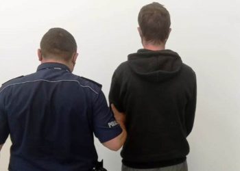 Ukradł psa, bo… chciał go wyprowadzić na spacer