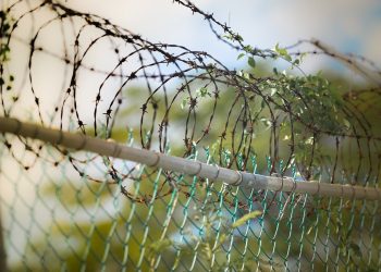 Przestępcy uciekli ze szpitala psychiatrycznego. Obława w Niemczech