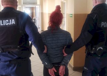 Zrzuciła kota z trzeciego piętra. Zwierzę nie żyje. Może trafić za kratki