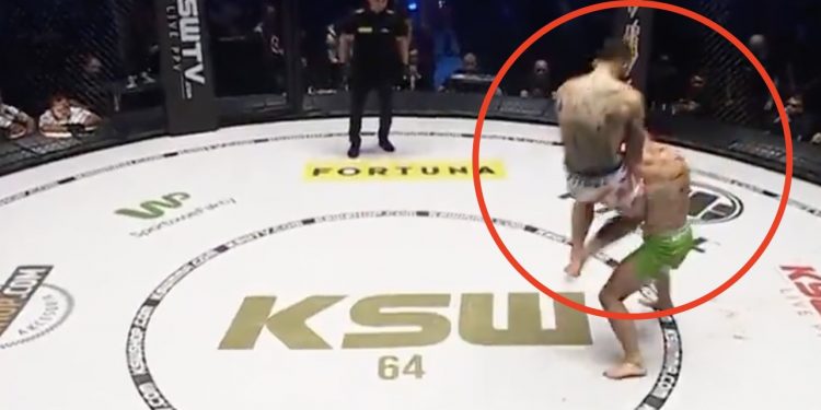 Fantastyczny debiut w KSW. Potężne kopnięcie i nokaut [WIDEO]