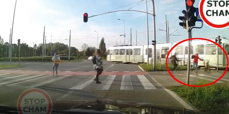 Dziecko na rowerku prawie wjechało pod tramwaj. Wstrząsające nagranie [WIDEO]