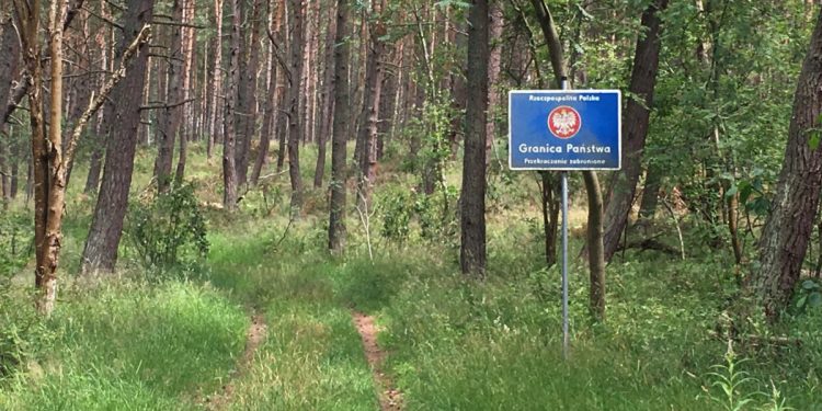 Straż Graniczna: Wczoraj ponad 700 prób nielegalnego przekroczenia granicy z Białorusią