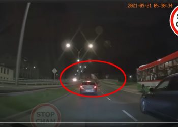 Jeleń wskoczył na samochód w środku miasta. Pokazali nagranie [WIDEO]