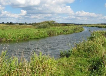 Wyłowiono zwłoki dziecka i kobiety. Wstrząsające szczegóły
