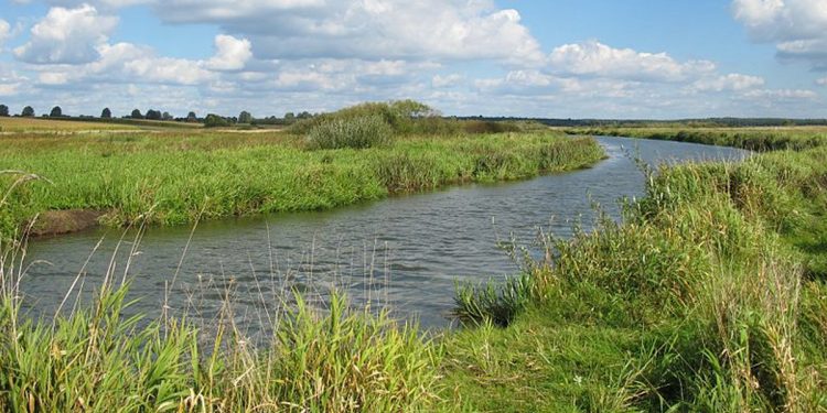 Wyłowiono zwłoki dziecka i kobiety. Wstrząsające szczegóły