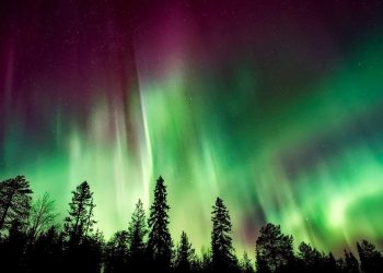 Zorza polarna będzie widoczna z Polski! Już dzisiaj niezwykłe zjawisko