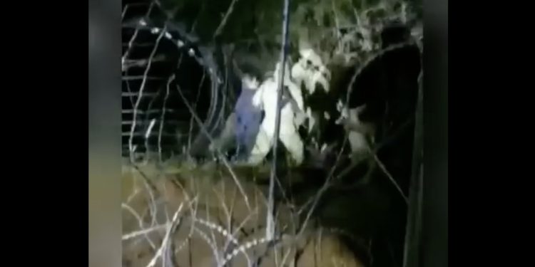 Drastyczne nagranie z granicy. „Białoruscy żołnierze pchają migrantów na płot” [WIDEO]