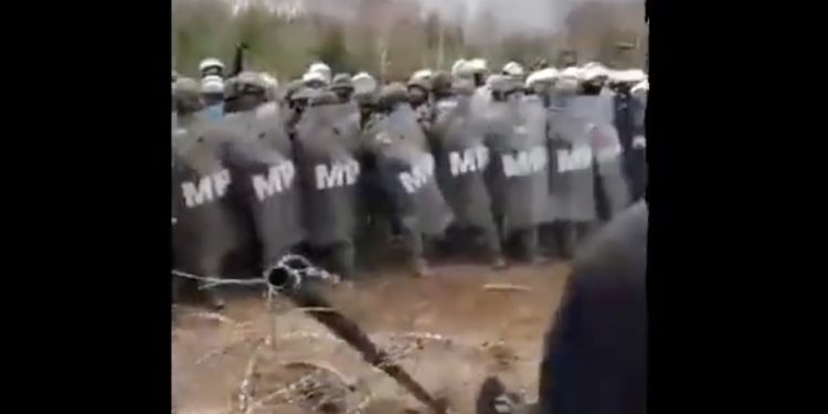 Migranci przerwali płot na granicy polsko-białoruskiej. „Tłum skanduje: Niemcy!” [WIDEO]