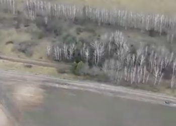 Kolejna grupa migrantów przemieszcza się wzdłuż granicy. Pokazano nagranie [WIDEO]