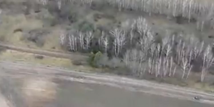 Kolejna grupa migrantów przemieszcza się wzdłuż granicy. Pokazano nagranie [WIDEO]