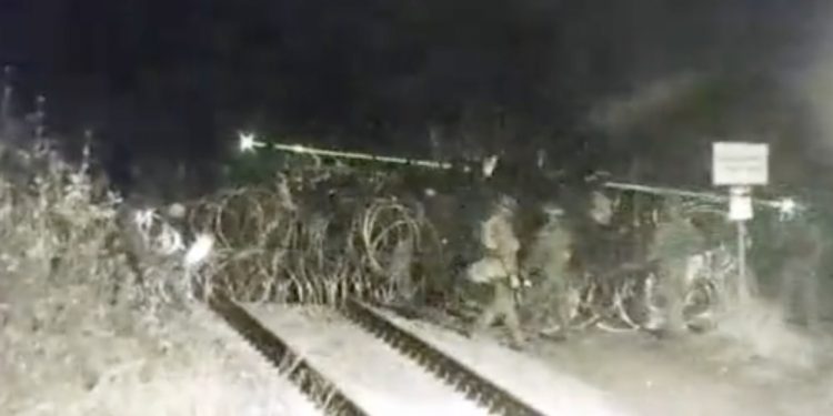 Nocna próba przekroczenia polskiej granicy. Straż Graniczna pokazała nagranie [WIDEO]