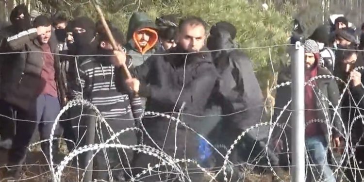 migranci